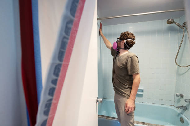 Best Attic Mold Removal  in Grosse Pointe Park, MI