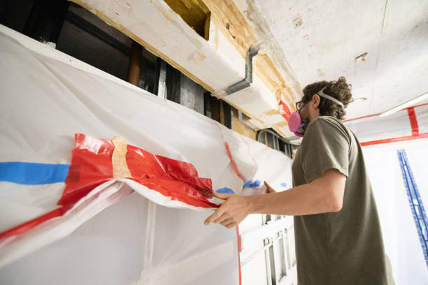 Best Industrial Mold Remediation  in Grosse Pointe Park, MI