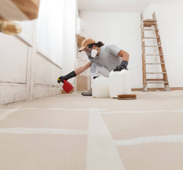 Forensic Mold Investigation in Grosse Pointe Park, MI